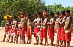 53075474970_eda66168cf_c