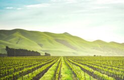 adele-payman-2oYMwuFgnTg-unsplash adele-payman-2oYMwuFgnTg-unsplash