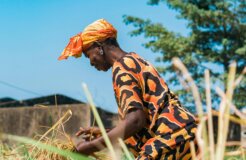 eyelit-studio-n7EHRb4F_ZM-unsplash eyelit-studio-n7EHRb4F_ZM-unsplash