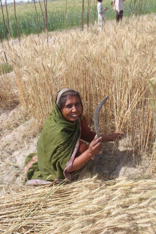 \'Receiving increased wages as per our rights is like a dream come true, as it is directly linked with our financial empowerment. It impacts positively on our children\'s schooling, diet and other facilities.\'