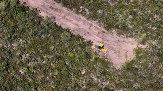The investigation showed that some of the cotton produced in Brazil could be linked to illegal deforestation, recharging water resources, land grabbing and violence against traditional communities. 