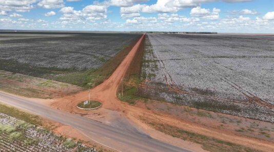 Earsight\'s investigative team discovered that eight Asian firms bought at least 816,000 tonnes of Brazilian tainted cotton to make nearly 250 million items of finished clothing and homeware for global stores of H&M, Zara and its related brands. 