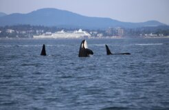 dick-martin-jeX1mVsO-Ko-unsplash dick-martin-jeX1mVsO-Ko-unsplash