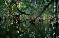 timothy-k-1CiE1x4dHIY-unsplash