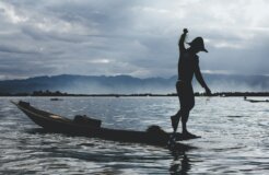 michael-pfister-mT-jLPGEr2o-unsplash