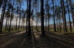 andrey-kigay-BWpKTSsiBas-unsplash