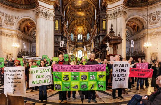 Church of England - land reform protest St Pauls_ClimateChoirs_CH_1-3-25--0723 (1)