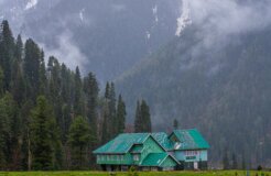 pexels-imadclicks-31204203 pexels-imadclicks-31204203