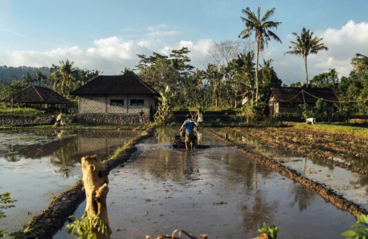 levi-morsy-AnsuqgHMVv8-unsplash levi-morsy-AnsuqgHMVv8-unsplash