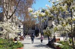 Image 2_central London