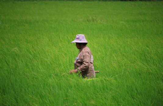 rutpratheep-nilpechr-nqZa1xUhrTs-unsplash