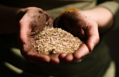 vince-veras-sYaK3SlGwEw-unsplash vince-veras-sYaK3SlGwEw-unsplash