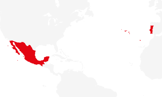 Mexico Portugal